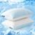 EASELAND Firm Pillows Shredded Memory Foam with Adjustable Fill – Queen Size Set of 2, Removable Cooling Cover for Hot Sleepers, Cool Bed Pillow for Side Back Stomach Sleepers